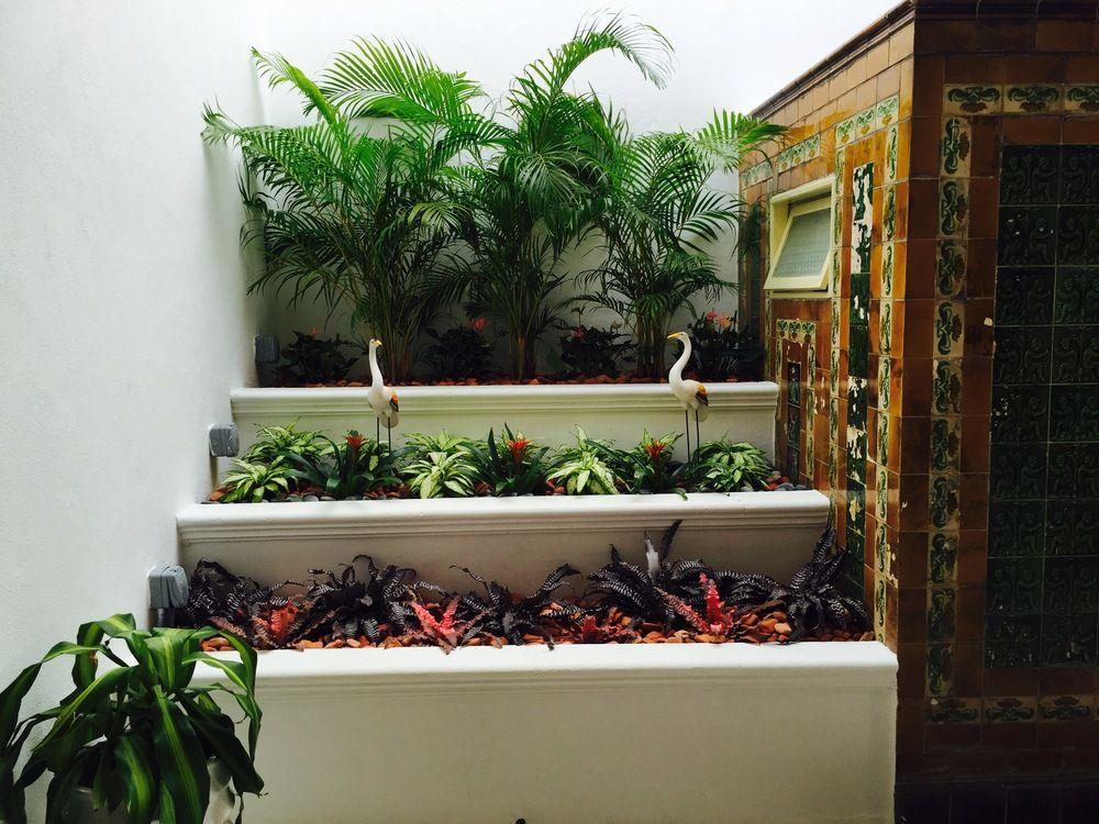 Heeren Palm Malacca